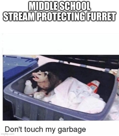 Don't touch my garbage | MIDDLE SCHOOL STREAM PROTECTING FURRET | image tagged in don't touch my garbage | made w/ Imgflip meme maker