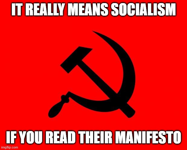 socialist | IT REALLY MEANS SOCIALISM IF YOU READ THEIR MANIFESTO | image tagged in socialist | made w/ Imgflip meme maker