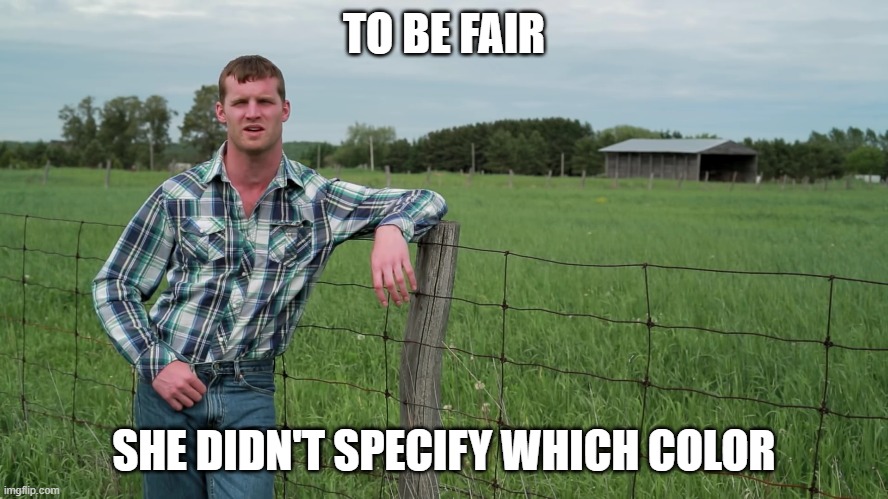 Letterkenny Problems | TO BE FAIR SHE DIDN'T SPECIFY WHICH COLOR | image tagged in letterkenny problems | made w/ Imgflip meme maker