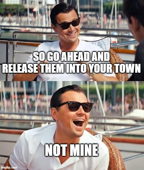 Leonardo Dicaprio Wolf Of Wall Street Meme | SO GO AHEAD AND RELEASE THEM INTO YOUR TOWN NOT MINE | image tagged in memes,leonardo dicaprio wolf of wall street | made w/ Imgflip meme maker