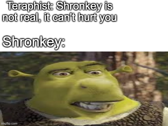 shronkey | Teraphist: Shronkey is not real, it can't hurt you; Shronkey: | image tagged in shrek,donkey,blank white template | made w/ Imgflip meme maker