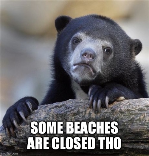 Confession Bear Meme | SOME BEACHES ARE CLOSED THO | image tagged in memes,confession bear | made w/ Imgflip meme maker