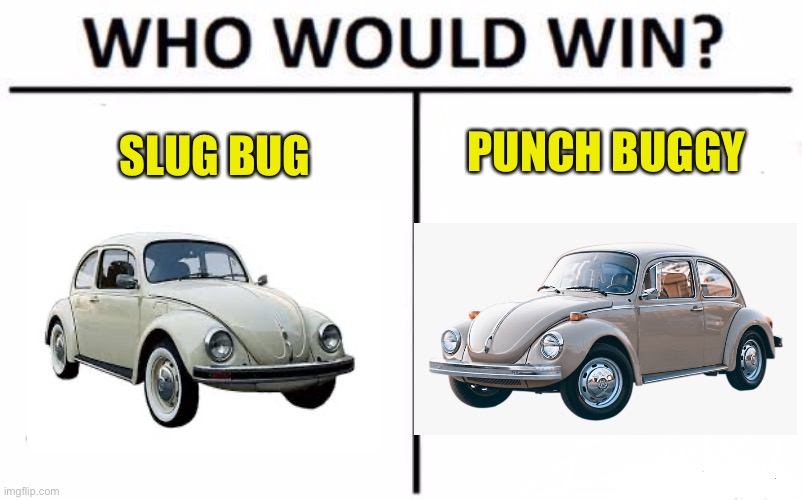 Slug Bug or Punch Buggy? | PUNCH BUGGY; SLUG BUG | image tagged in memes,who would win,bug,volkswagon | made w/ Imgflip meme maker