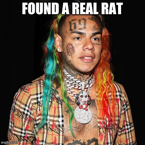 Takashi 6ix9ine | FOUND A REAL RAT | image tagged in takashi 6ix9ine | made w/ Imgflip meme maker