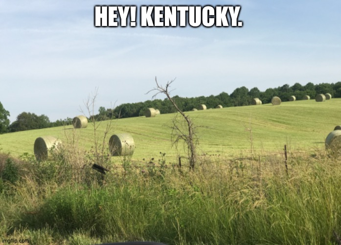 HEY! KENTUCKY. | made w/ Imgflip meme maker