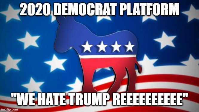 Democrats | 2020 DEMOCRAT PLATFORM "WE HATE TRUMP REEEEEEEEEE" | image tagged in democrats | made w/ Imgflip meme maker