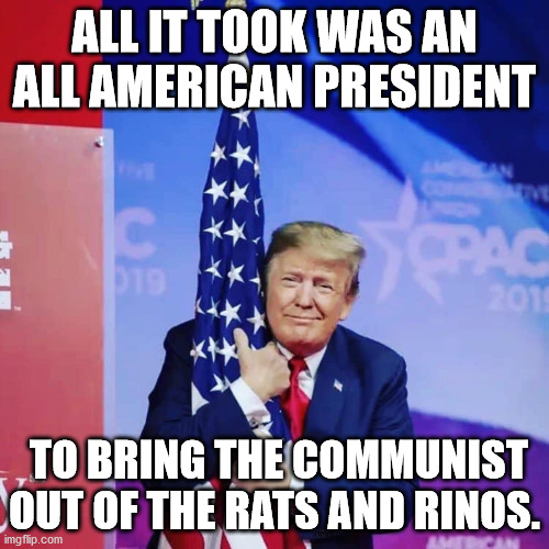 Damn truth! | ALL IT TOOK WAS AN ALL AMERICAN PRESIDENT; TO BRING THE COMMUNIST OUT OF THE RATS AND RINOS. | image tagged in president donald trump hugging usa flag,democrats,rino,trump 2020,donald j trump | made w/ Imgflip meme maker