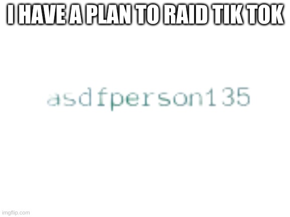 asdfperson135 watermark | I HAVE A PLAN TO RAID TIK TOK | image tagged in asdfperson135 watermark | made w/ Imgflip meme maker