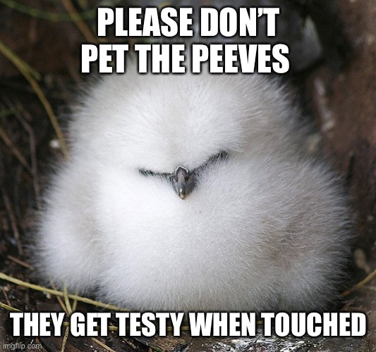 Pet peeves | PLEASE DON’T PET THE PEEVES; THEY GET TESTY WHEN TOUCHED | image tagged in pet peeve,don't pet | made w/ Imgflip meme maker