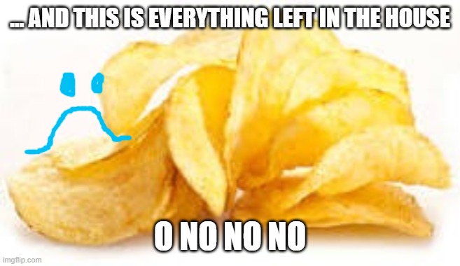 Potato chips | ... AND THIS IS EVERYTHING LEFT IN THE HOUSE O NO NO NO | image tagged in potato chips | made w/ Imgflip meme maker