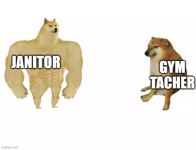 school | GYM TACHER; JANITOR | image tagged in buff doge vs cheems | made w/ Imgflip meme maker