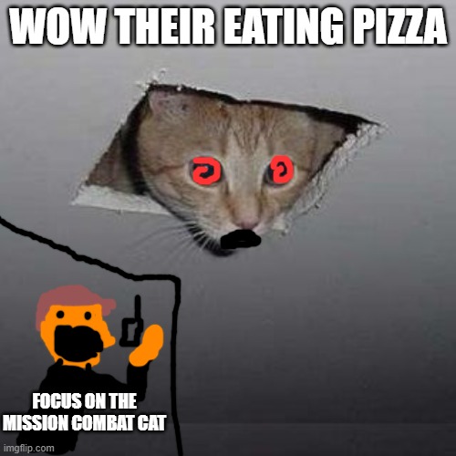 combat cat | WOW THEIR EATING PIZZA; FOCUS ON THE MISSION COMBAT CAT | image tagged in cat meme,madness combat,cat | made w/ Imgflip meme maker