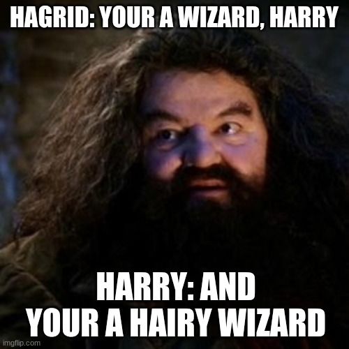 You're a wizard harry | HAGRID: YOUR A WIZARD, HARRY; HARRY: AND YOUR A HAIRY WIZARD | image tagged in you're a wizard harry | made w/ Imgflip meme maker