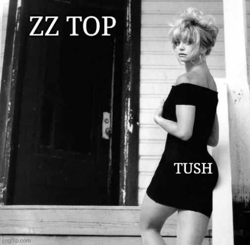 ZZ TOP tush | image tagged in zz top,tush,butt,rock and roll,the rock,classic rock | made w/ Imgflip meme maker