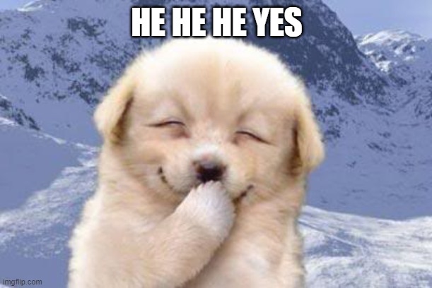 Laughing dog | HE HE HE YES | image tagged in laughing dog | made w/ Imgflip meme maker