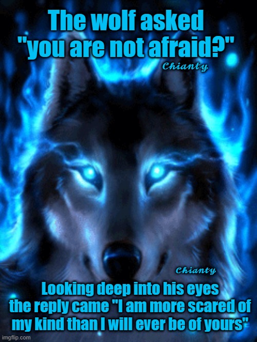 Wolf asked | The wolf asked "you are not afraid?"; 𝓒𝓱𝓲𝓪𝓷𝓽𝔂; 𝓒𝓱𝓲𝓪𝓷𝓽𝔂; Looking deep into his eyes the reply came "I am more scared of my kind than I will ever be of yours" | image tagged in reply | made w/ Imgflip meme maker