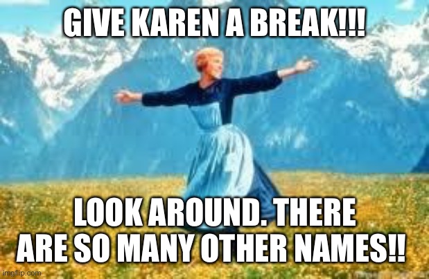 Karen | GIVE KAREN A BREAK!!! LOOK AROUND. THERE ARE SO MANY OTHER NAMES!! | image tagged in memes,look at all these | made w/ Imgflip meme maker