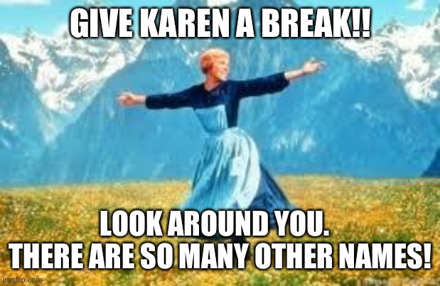 Karen | GIVE KAREN A BREAK!! LOOK AROUND YOU.   THERE ARE SO MANY OTHER NAMES! | image tagged in memes,look at all these | made w/ Imgflip meme maker