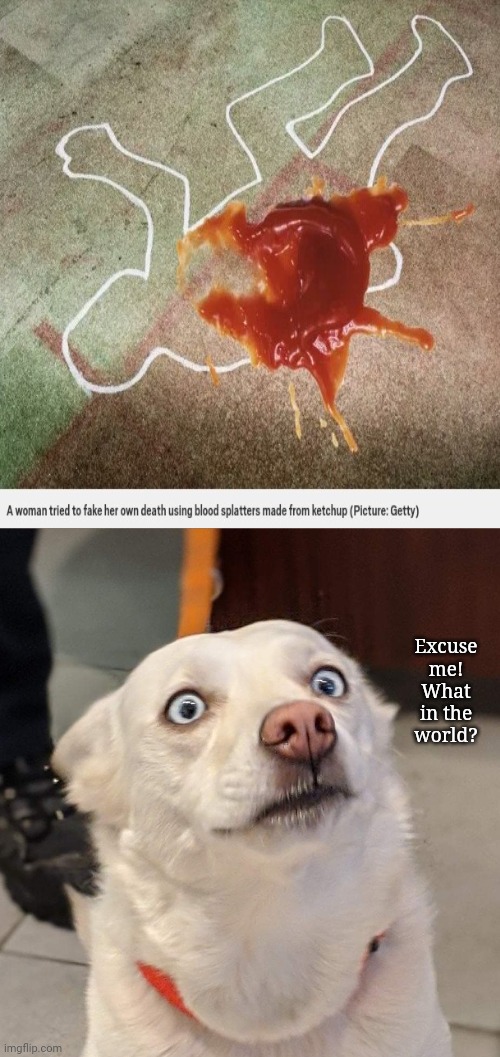 Ketchup on the ground | Excuse me! What in the world? | image tagged in excuse me what,ketchup,dark humor,memes,meme,dank memes | made w/ Imgflip meme maker