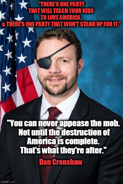 America, WAKE UP! Vote for Republicans... | "THERE'S ONE PARTY THAT WILL TEACH YOUR KIDS 
TO LOVE AMERICA, 

& THERE'S ONE PARTY THAT WON'T STAND UP FOR IT."; "You can never appease the mob. 

Not until the destruction of America is complete. 
That's what they're after."; Dan Crenshaw | image tagged in politics,political meme,republican party,democratic party,patriotism,liberals vs conservatives,ConservativeMemes | made w/ Imgflip meme maker
