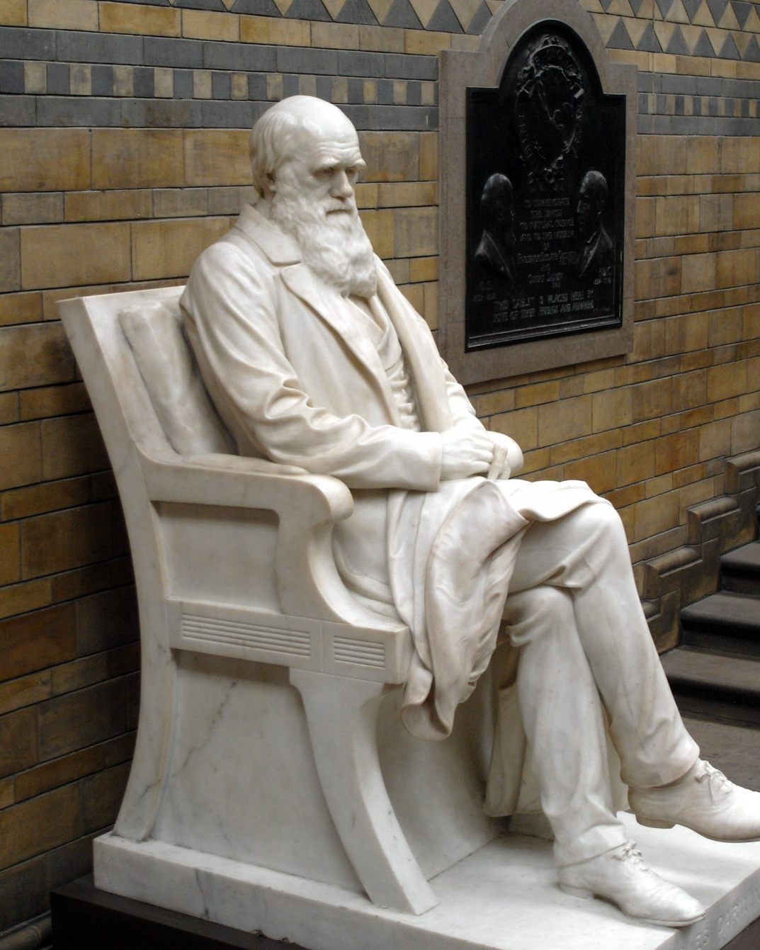 High Quality Charles Darwin Statue Blank Meme Template