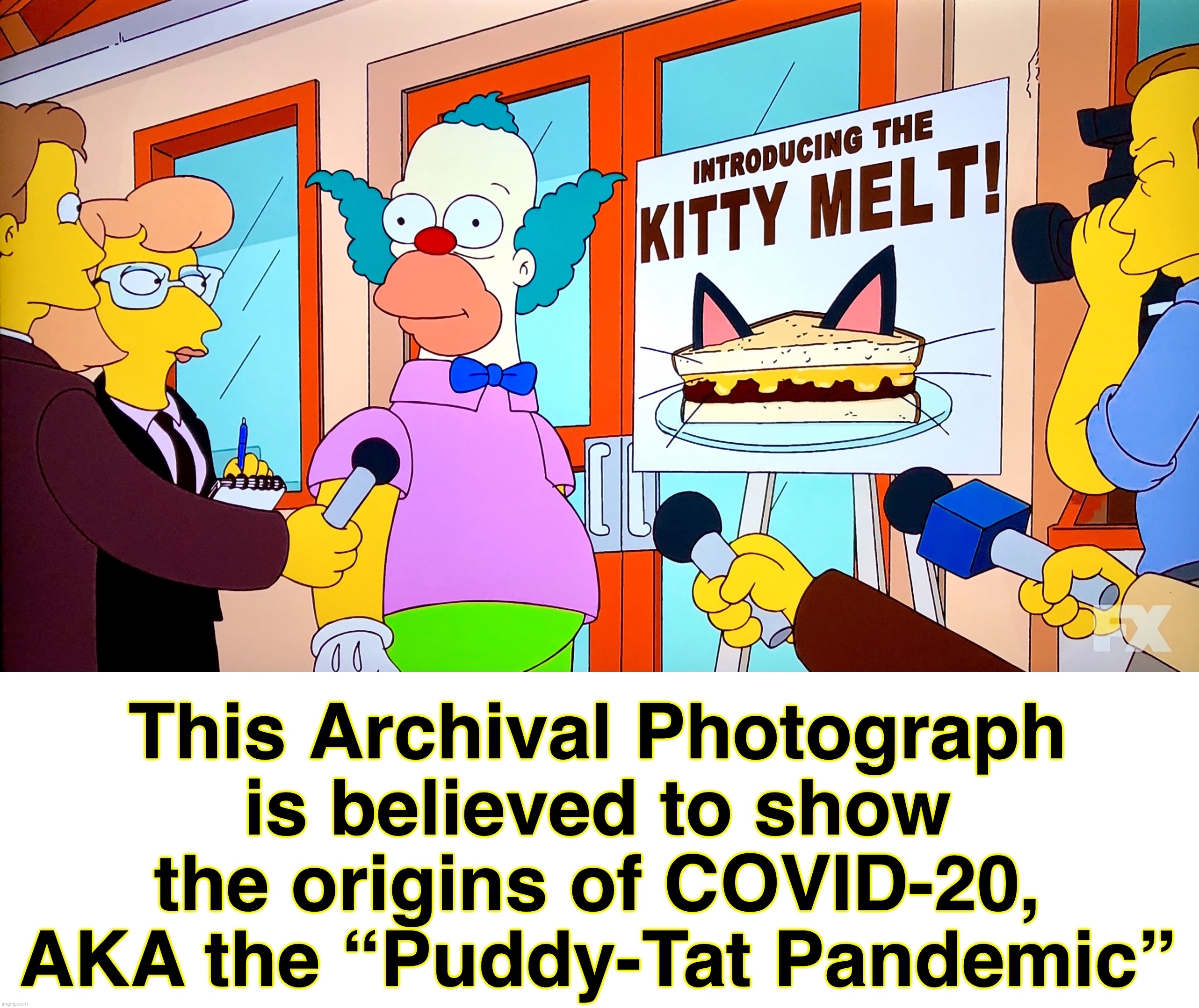 On to the next one | This Archival Photograph is believed to show the origins of COVID-20, AKA the “Puddy-Tat Pandemic” | image tagged in pandemic,covid-19,coronavirus,memes,cats,in the future | made w/ Imgflip meme maker