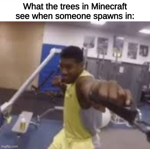 punchpunchpunchpunchpunch | What the trees in Minecraft see when someone spawns in: | image tagged in minecraft,gaming,funny,meme,punch | made w/ Imgflip meme maker