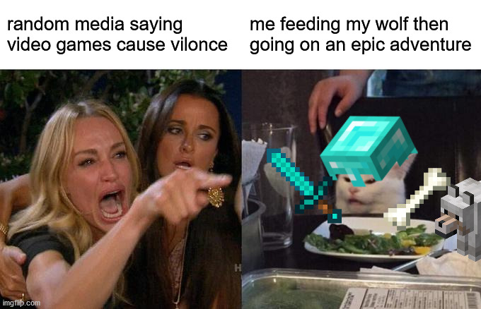 Woman Yelling At Cat | random media saying video games cause vilonce; me feeding my wolf then going on an epic adventure | image tagged in memes,woman yelling at cat | made w/ Imgflip meme maker