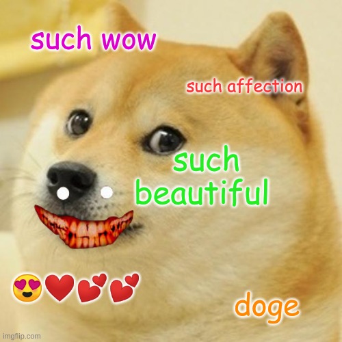 Doge Meme | such wow; such affection; such beautiful; 😍❤💕💕; doge | image tagged in memes,doge | made w/ Imgflip meme maker