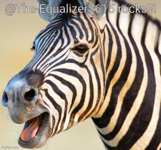 Happy Zebra | @The-Equalizer7615 rocks!!! | image tagged in happy zebra | made w/ Imgflip meme maker