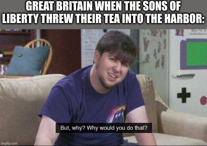 But why why would you do that? | GREAT BRITAIN WHEN THE SONS OF LIBERTY THREW THEIR TEA INTO THE HARBOR: | image tagged in but why why would you do that | made w/ Imgflip meme maker