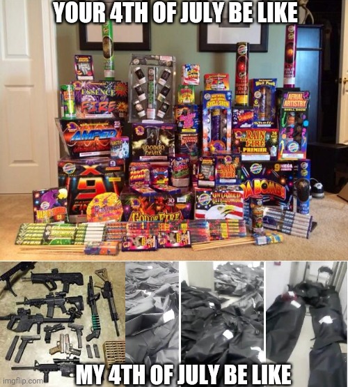 YOUR 4TH OF JULY BE LIKE; MY 4TH OF JULY BE LIKE | image tagged in 4th of july | made w/ Imgflip meme maker