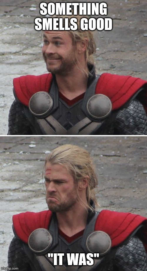 Thor happy then sad | SOMETHING SMELLS GOOD; "IT WAS" | image tagged in thor happy then sad | made w/ Imgflip meme maker