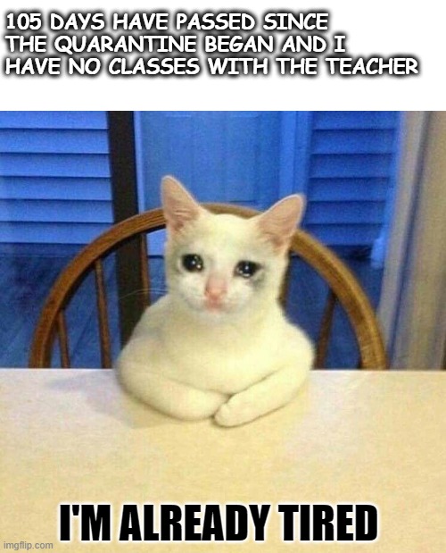 Para el trabajo de ingles | 105 DAYS HAVE PASSED SINCE THE QUARANTINE BEGAN AND I HAVE NO CLASSES WITH THE TEACHER; I'M ALREADY TIRED | image tagged in gatos | made w/ Imgflip meme maker