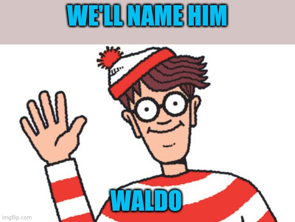 Waldo | WE'LL NAME HIM WALDO | image tagged in waldo | made w/ Imgflip meme maker