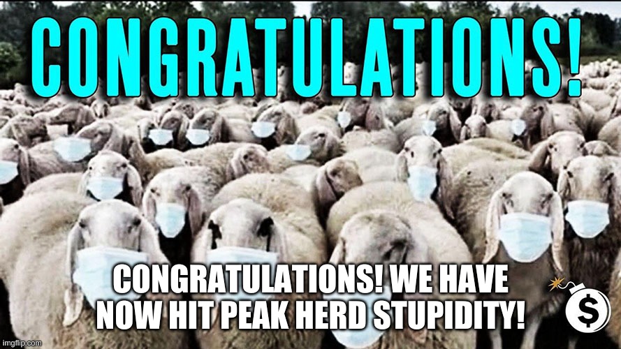 Stupidity! |  CONGRATULATIONS! WE HAVE NOW HIT PEAK HERD STUPIDITY! | image tagged in sheeple | made w/ Imgflip meme maker