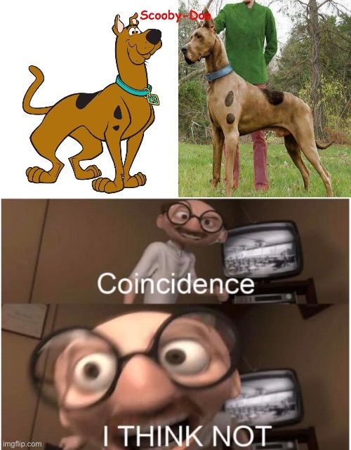 coincidence... I THINK NOT! | image tagged in coincidence i think not | made w/ Imgflip meme maker