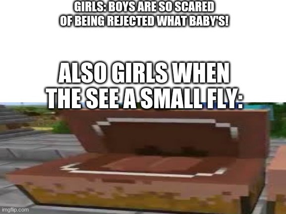 AAAAAAAHHHHHHHH!!!!! | GIRLS: BOYS ARE SO SCARED OF BEING REJECTED WHAT BABY'S! ALSO GIRLS WHEN THE SEE A SMALL FLY: | image tagged in funny memes | made w/ Imgflip meme maker