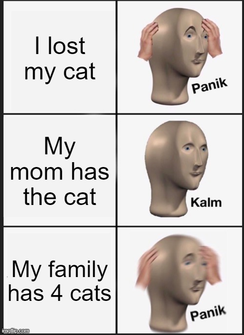 Cat | I lost my cat; My mom has the cat; My family has 4 cats | image tagged in memes,panik kalm panik | made w/ Imgflip meme maker