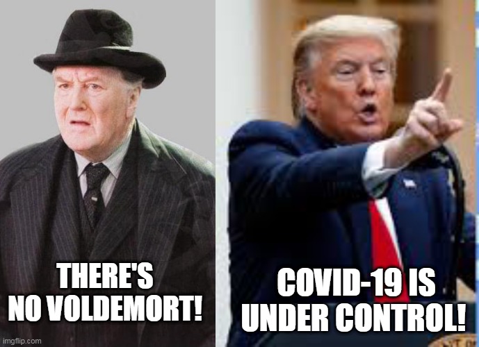 No Voldemort / Covid-19 is under control | COVID-19 IS UNDER CONTROL! THERE'S NO VOLDEMORT! | image tagged in covid-19,voldemort,harry potter,trump | made w/ Imgflip meme maker