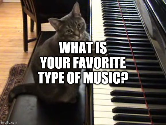 cat piano | WHAT IS YOUR FAVORITE TYPE OF MUSIC? | image tagged in cat piano | made w/ Imgflip meme maker