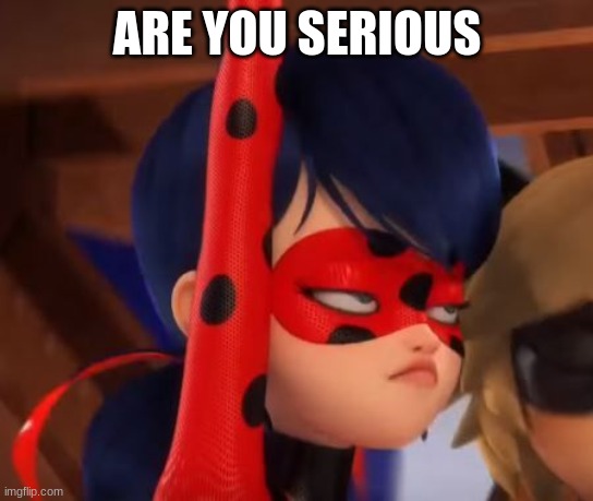 Grumpy Miraculous | ARE YOU SERIOUS | image tagged in grumpy miraculous | made w/ Imgflip meme maker