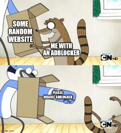 AdBlockers in a Nutshell | SOME RANDOM WEBSITE; ME WITH AN ADBLOCKER; PLEASE DISABLE ADBLOCKER | image tagged in mordecai punches rigby through a box | made w/ Imgflip meme maker