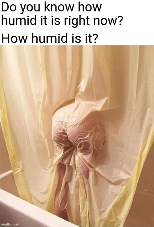 Humid |  Do you know how humid it is right now? How humid is it? | image tagged in memes,humid | made w/ Imgflip meme maker