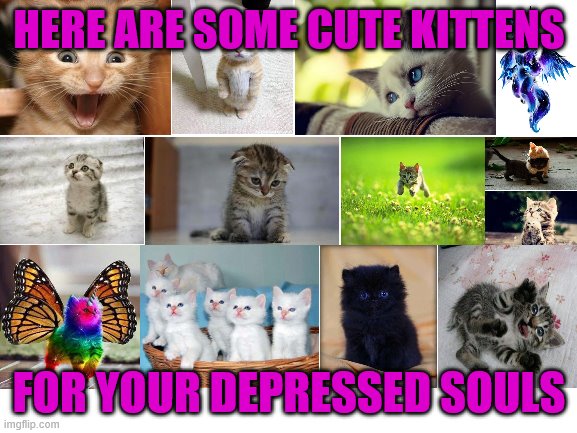 Blank White Template | HERE ARE SOME CUTE KITTENS; FOR YOUR DEPRESSED SOULS | image tagged in blank white template | made w/ Imgflip meme maker