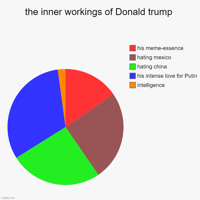 the inner workings of Donald trump | intelligence, his intense love for Putin, hating china, hating mexico, his meme-essence | image tagged in charts,pie charts | made w/ Imgflip chart maker