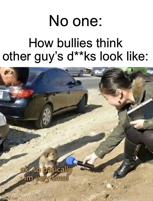 Like why | No one:; How bullies think other guy’s d**ks look like: | image tagged in very smol | made w/ Imgflip meme maker