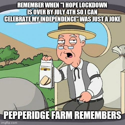 Pepperidge Farm Remembers | REMEMBER WHEN "I HOPE LOCKDOWN IS OVER BY JULY 4TH SO I CAN CELEBRATE MY INDEPENDENCE" WAS JUST A JOKE; PEPPERIDGE FARM REMEMBERS | image tagged in memes,pepperidge farm remembers | made w/ Imgflip meme maker