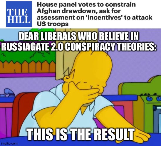 Blanketly disagreeing with EVERYTHING trump does regardless of your principles is fundamentally stupid, toxic and nonsensical. | DEAR LIBERALS WHO BELIEVE IN RUSSIAGATE 2.0 CONSPIRACY THEORIES:; THIS IS THE RESULT | image tagged in smh homer,russiagate,red baiting,afghanistan,donald trump,anti trump | made w/ Imgflip meme maker