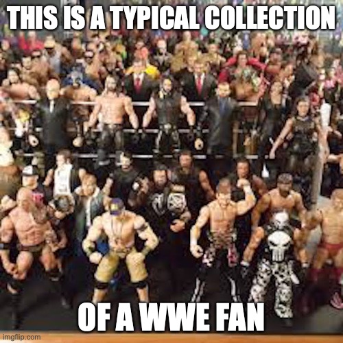 Wrestling Figurines | THIS IS A TYPICAL COLLECTION; OF A WWE FAN | image tagged in collection,memes | made w/ Imgflip meme maker